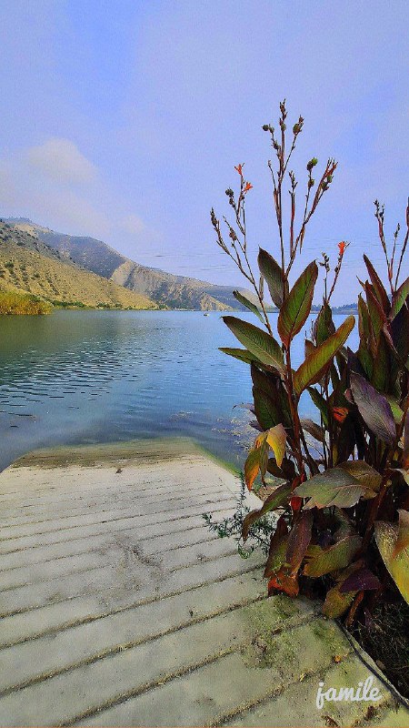 نجات ایران