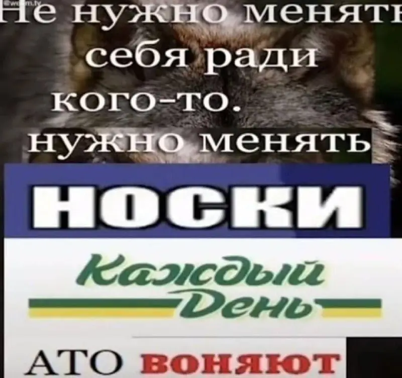 Пушистое Ушко