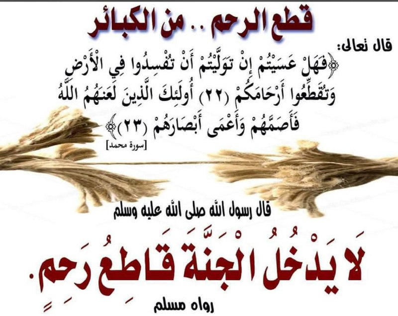 على منهاج النبوة