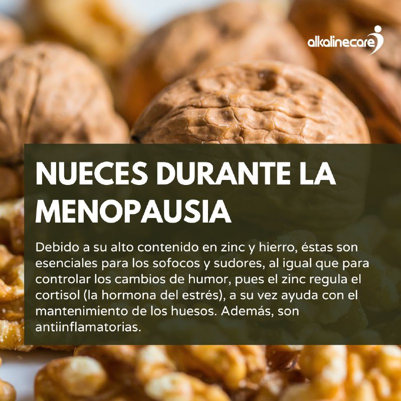 Las nueces son el fruto seco …