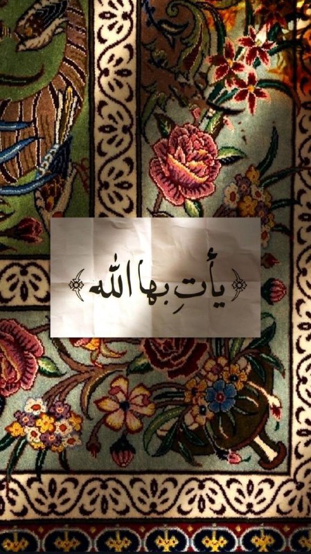 من الكتاب الكريم