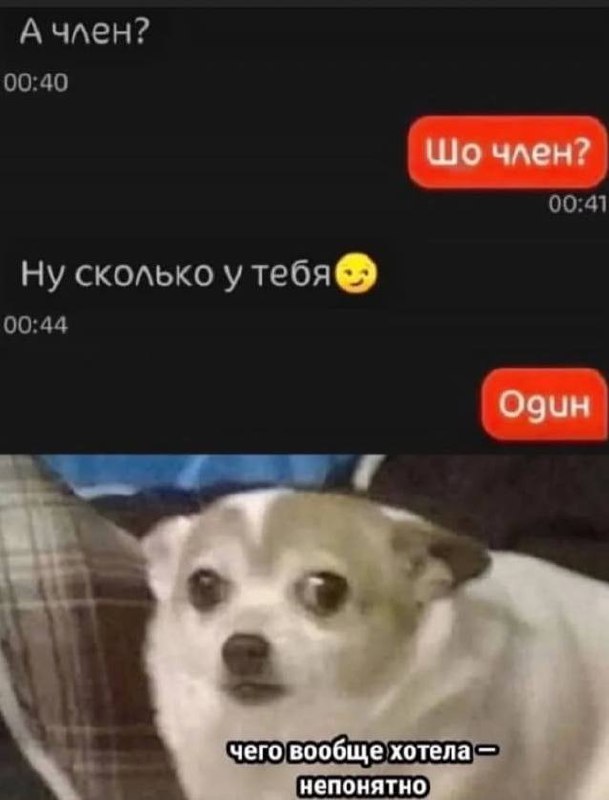 Раб Котлеты