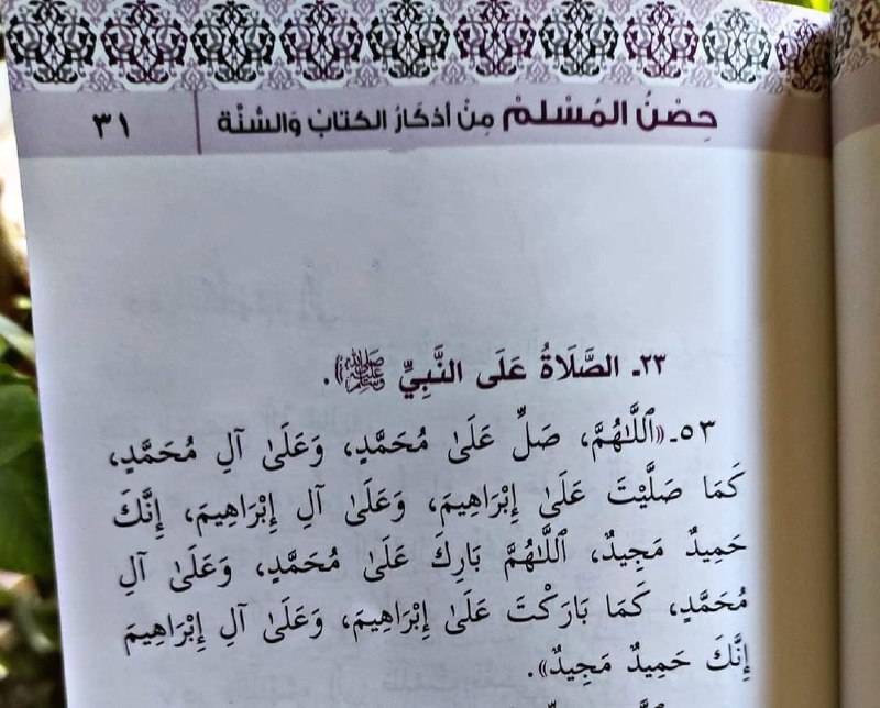 لِمَن شَاء مِنكُم أَن يَسْتَقِيم 🌿🌱