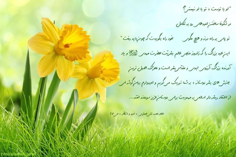 ***🔰*** [#جمله\_تصویر](?q=%23%D8%AC%D9%85%D9%84%D9%87_%D8%AA%D8%B5%D9%88%DB%8C%D8%B1)