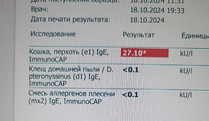 Самое часто заблуждение пациента с лёгким …