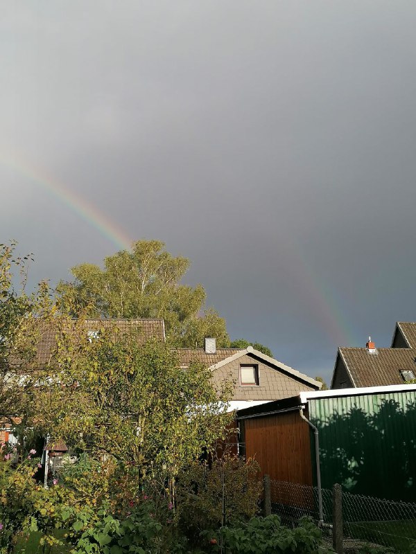 Gespiegelter Regenbogen = 130