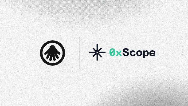 We just announced a strategic partnership with **0xScope**.