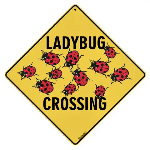 *****🐞***Q Drop No. 147012719 Gematria Ladybug …