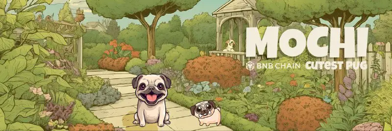 Mochi Inu is the cutest Pug …