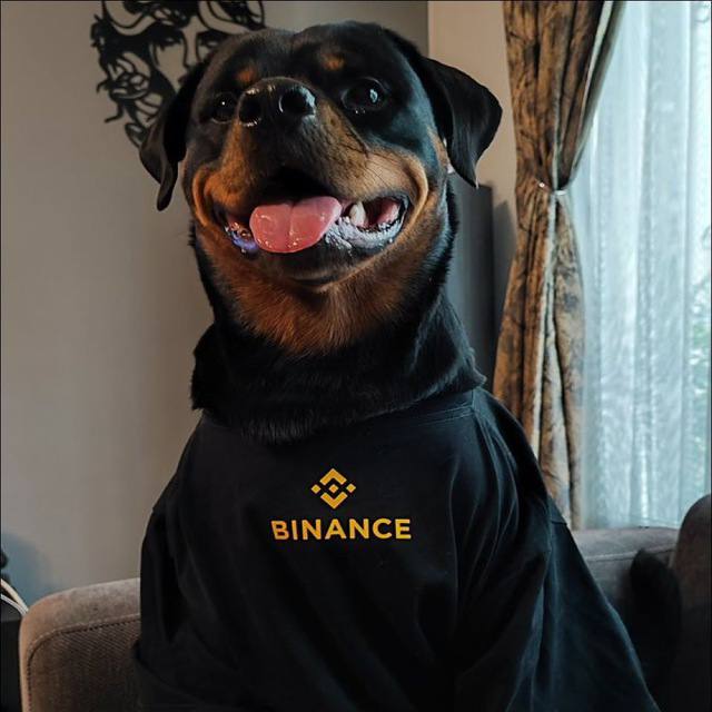 ***🔥*** **Binance Dog** **$CHO** **(Chief Happiness …