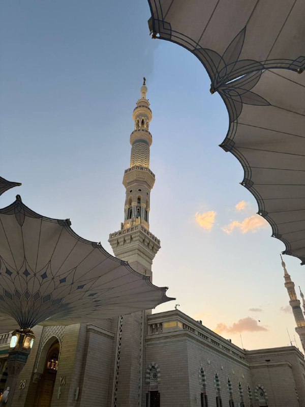موطن اجابة…