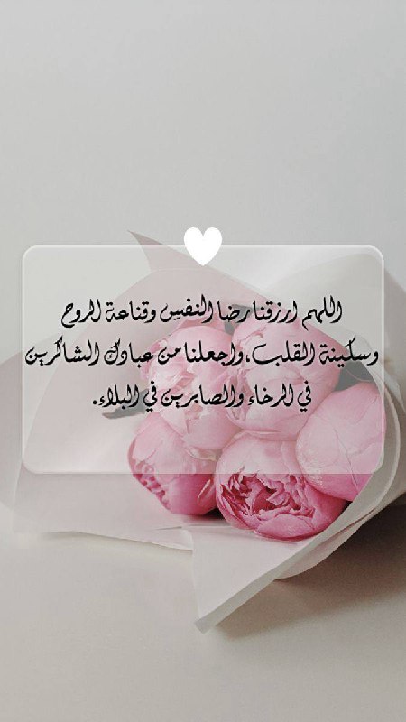 [#صباح\_الخير](?q=%23%D8%B5%D8%A8%D8%A7%D8%AD_%D8%A7%D9%84%D8%AE%D9%8A%D8%B1)