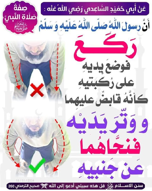 المنهجُ السلفي