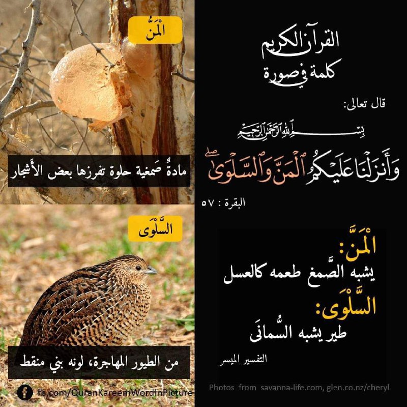 زاد المهاجر إلى ربه
