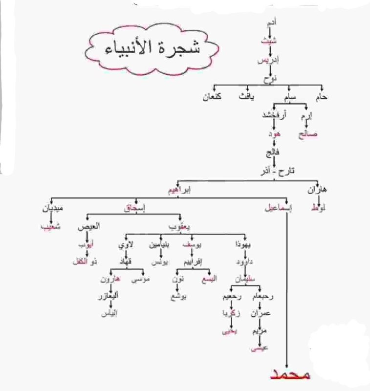 صوت المختصر في تفسير القرآن للمبتدئين …