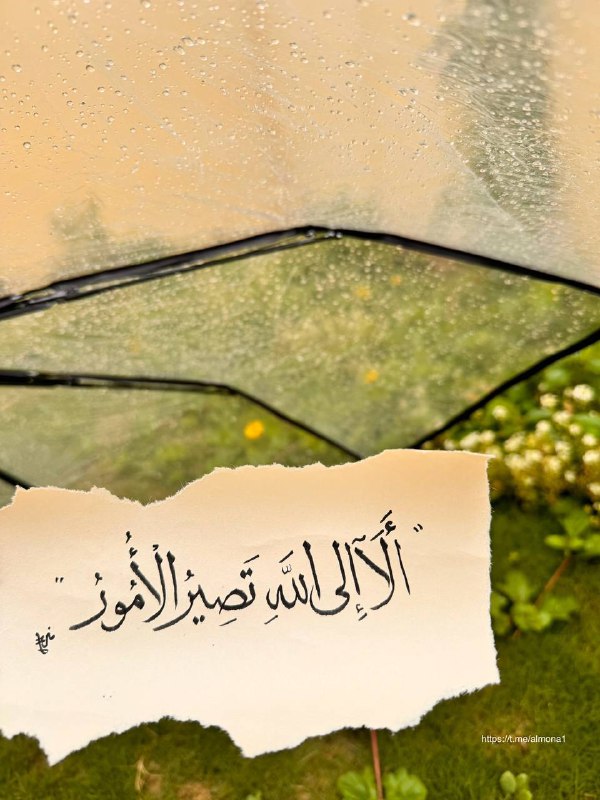 ﴿ ألا إلى الله تصير الأمور …