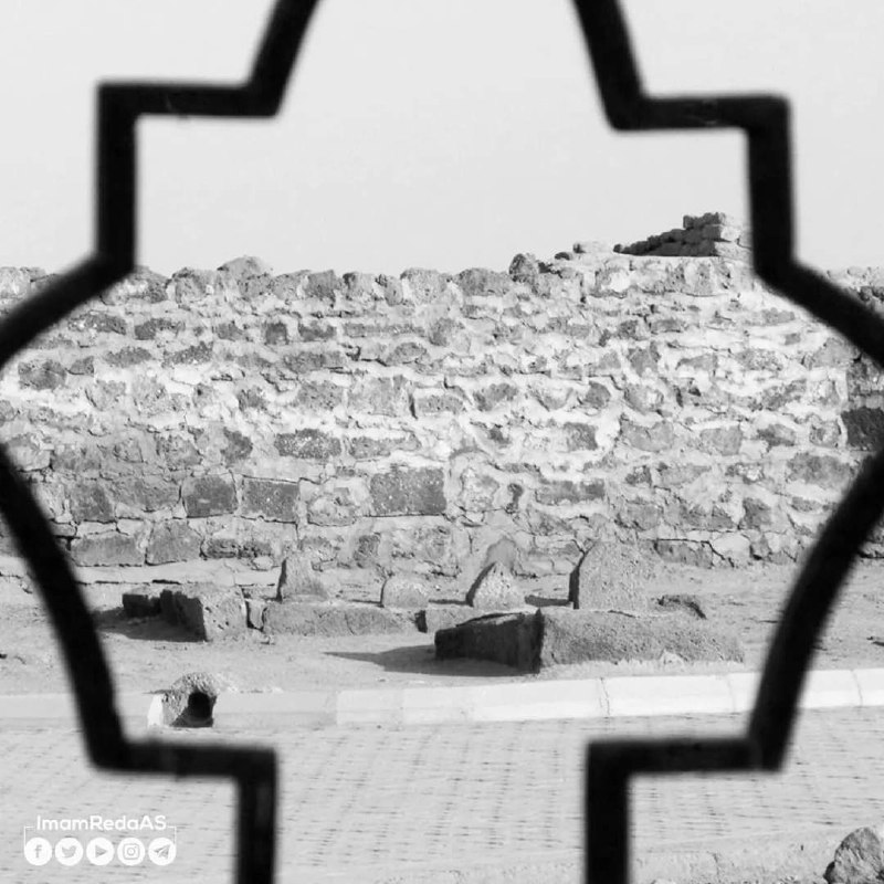 **قصيدة مولاي الامام الحسن المجتبى (عليه …