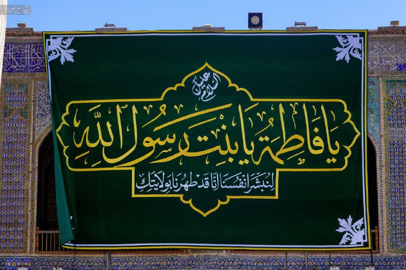 مقاوم resistant 313