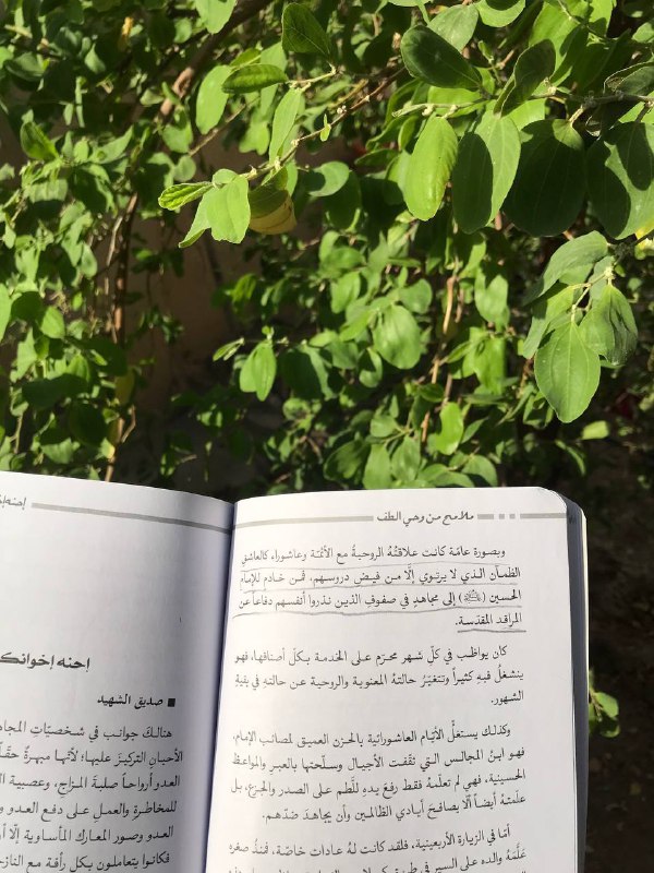 المُشتَبك