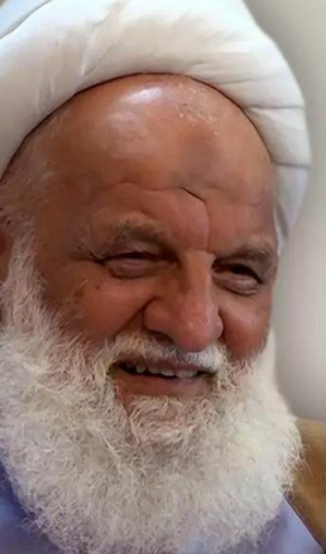 الشیخ محمد صالح الکمیلي : السالک …
