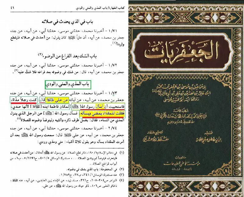 <<الحديث عن علي رضي الله عنه في كتاب الشيعه و السنه >>