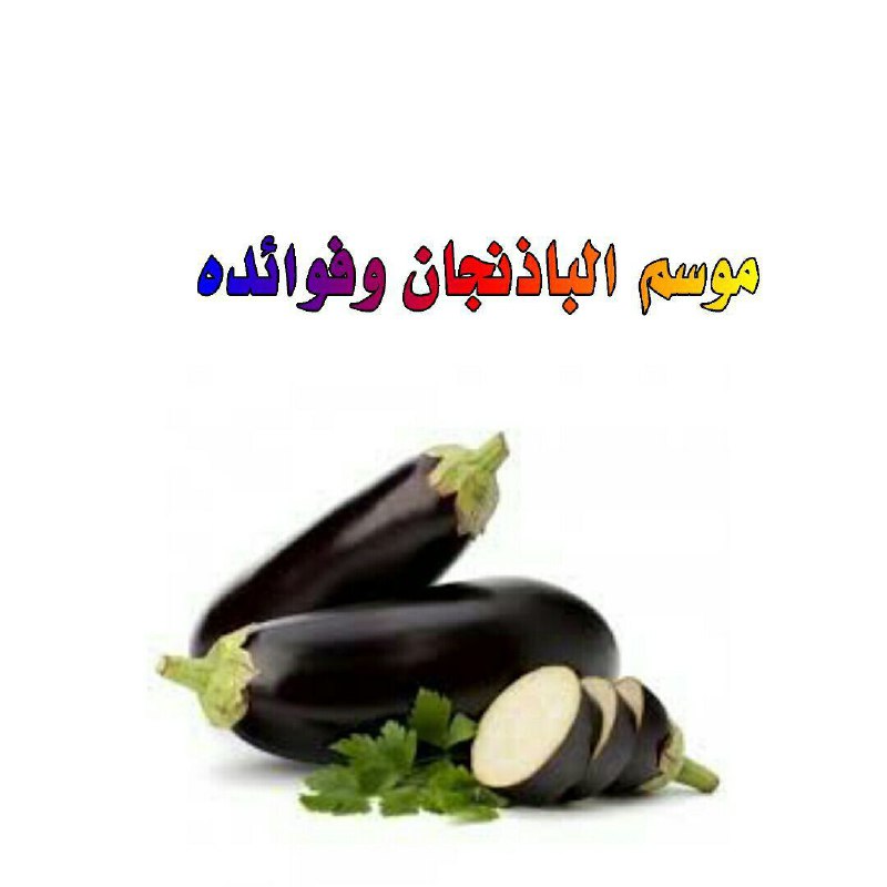 القيمة فاطمة alqaima_fatima