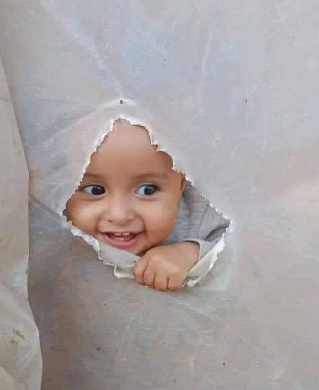 [**غزَّة الجميلة رغم كلِّ شيءٍ