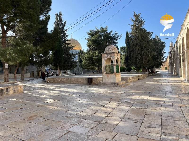 القسطل الاخباري | القدس