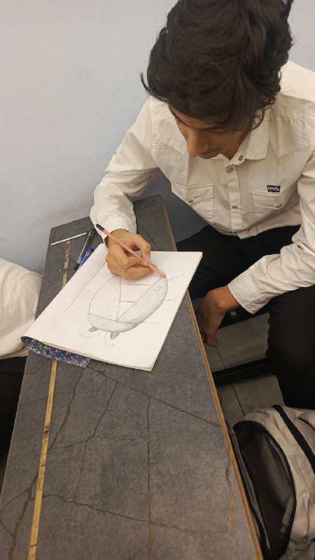 ثانوية القمة الاهلية للبنين