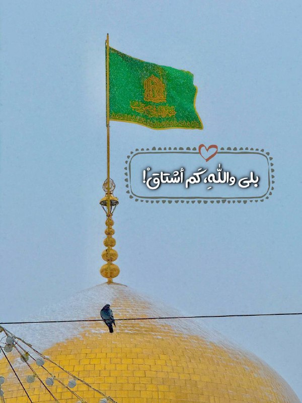 [صباحُ الحُبِّ والأشواقْ