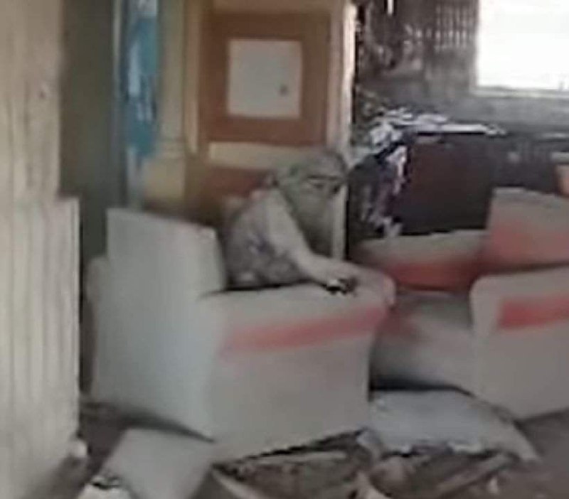 يا من يُعلمني نحواً وتوريةً