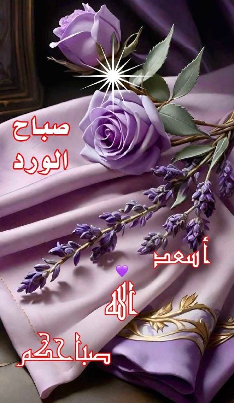 **‏ويبقى الصباح ..كساعي البريد إلى أهل …