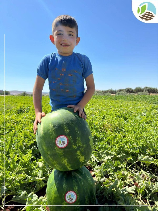 شركة السفير الزراعية