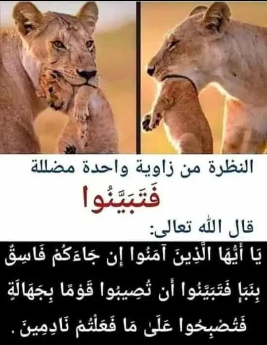 درر سلفية