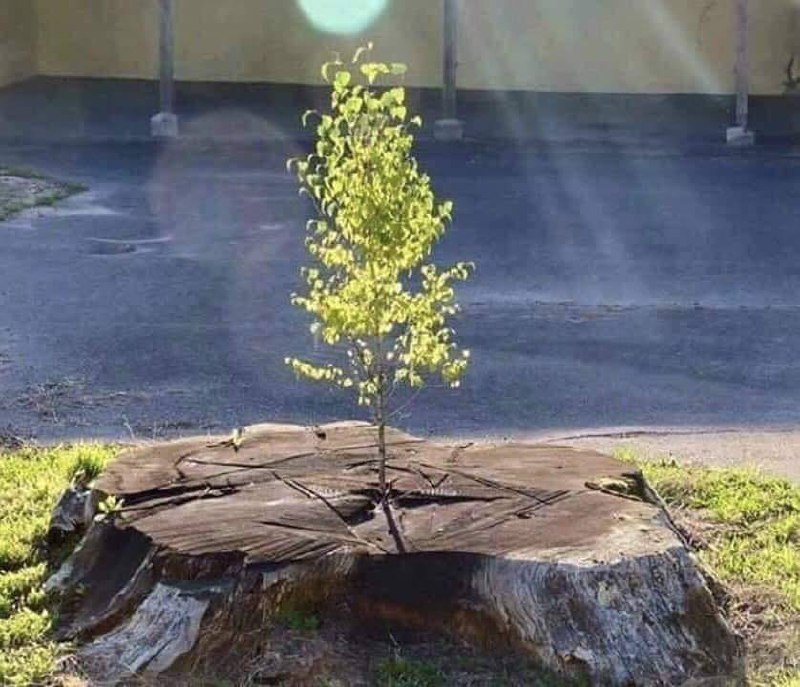 مهما حدث في حياتك ، يمكنك …