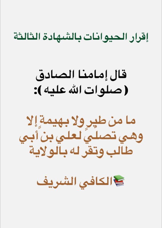 ❤️وجوب الشهادة الثالثة❤️