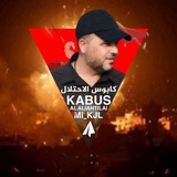 القنوان الداعمة لمحور المقاومة الإسلامية