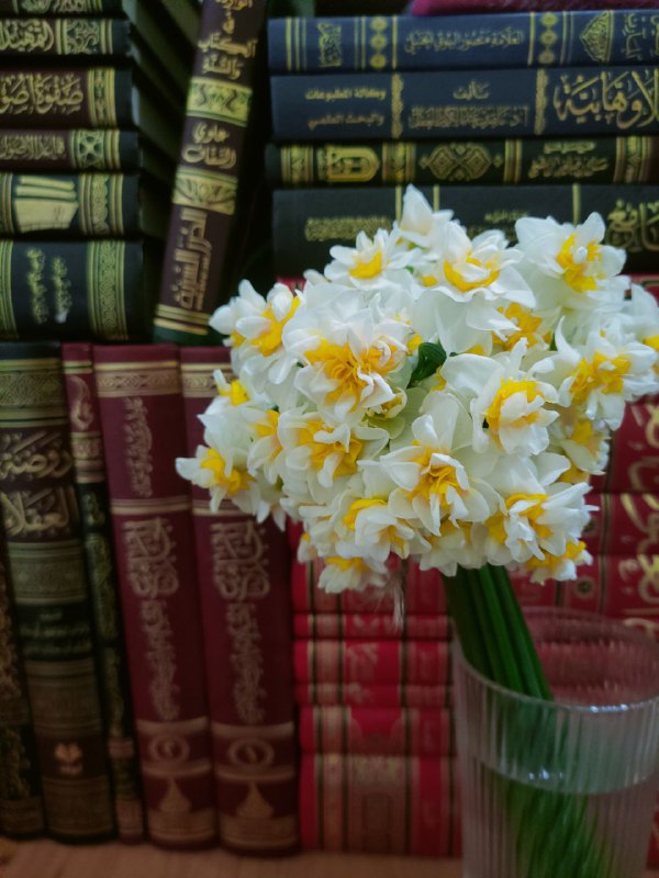 الـرَّوضَـة 📚🍃