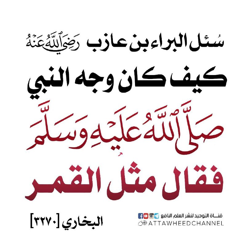 ✍?نشر كلام العلماء