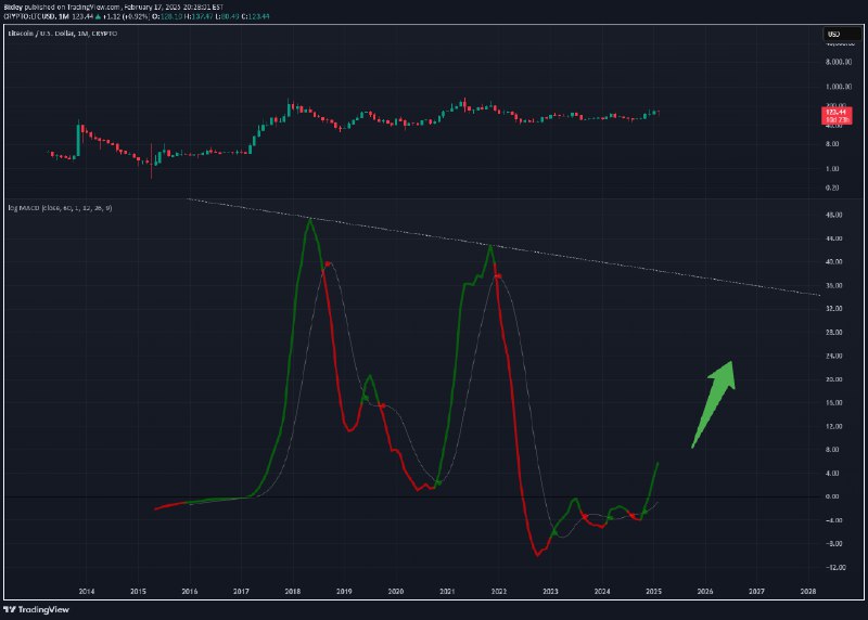 [**LTCUSD - Monthly MACD**](https://www.tradingview.com/chart/LTCUSD/gqmH39LN-LTCUSD-Monthly-MACD/)