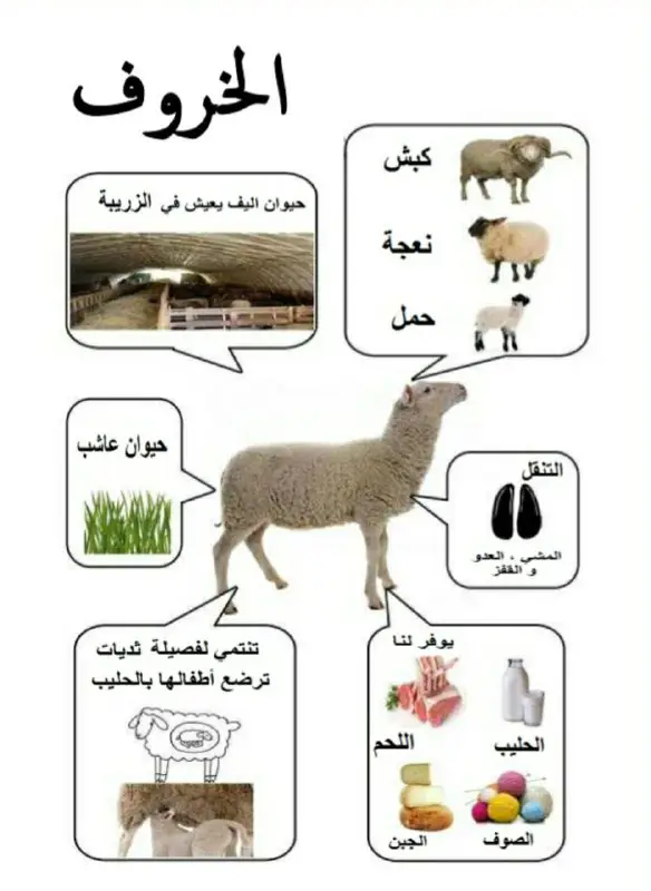 بيت الطفل السعيد 🙂