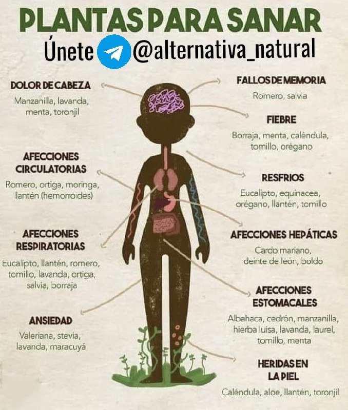 Únete a [@alternativa\_natural](https://t.me/alternativa_natural)