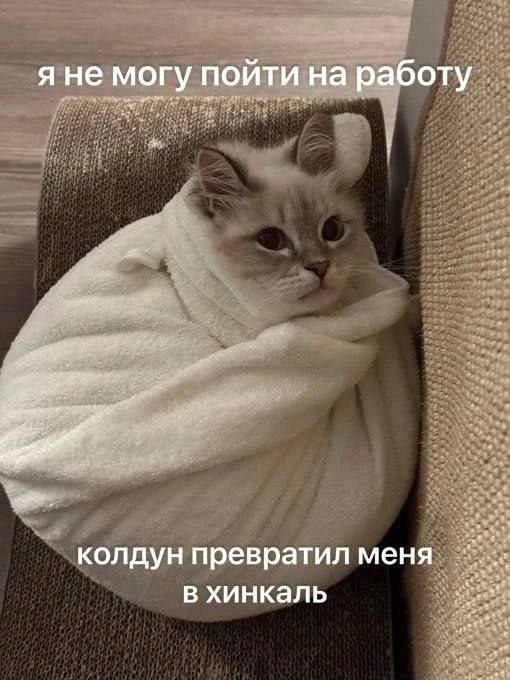 Немного милоты ***😻***