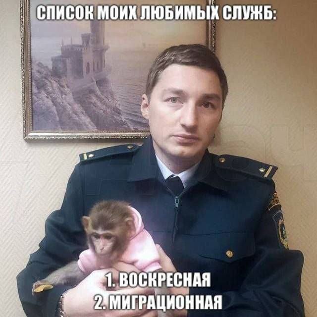 Канал Максимки