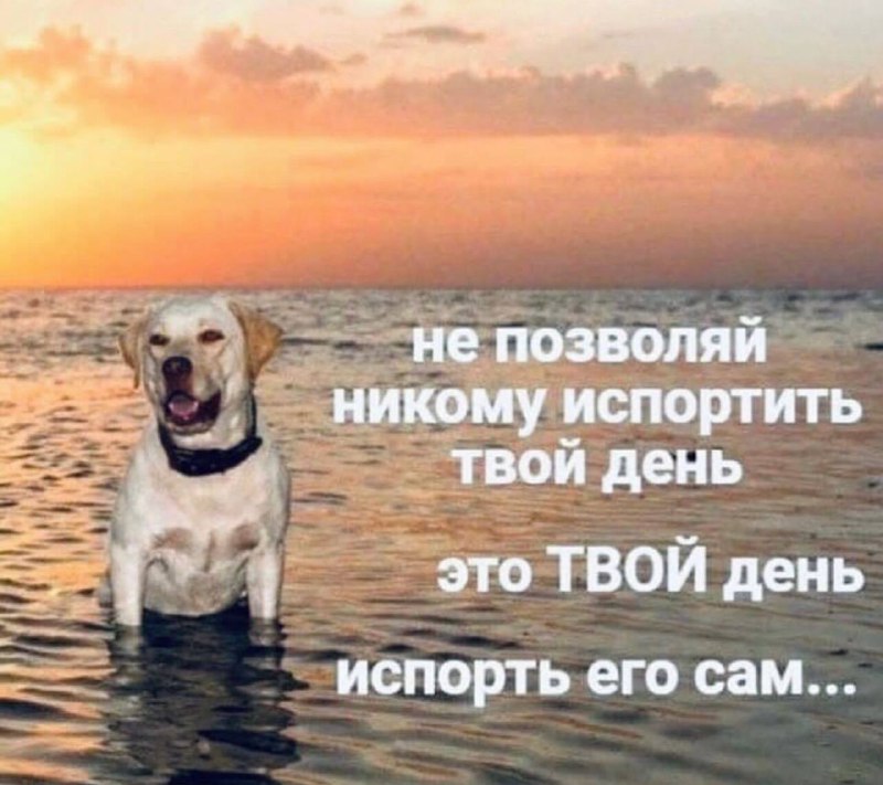 Чисто приколы