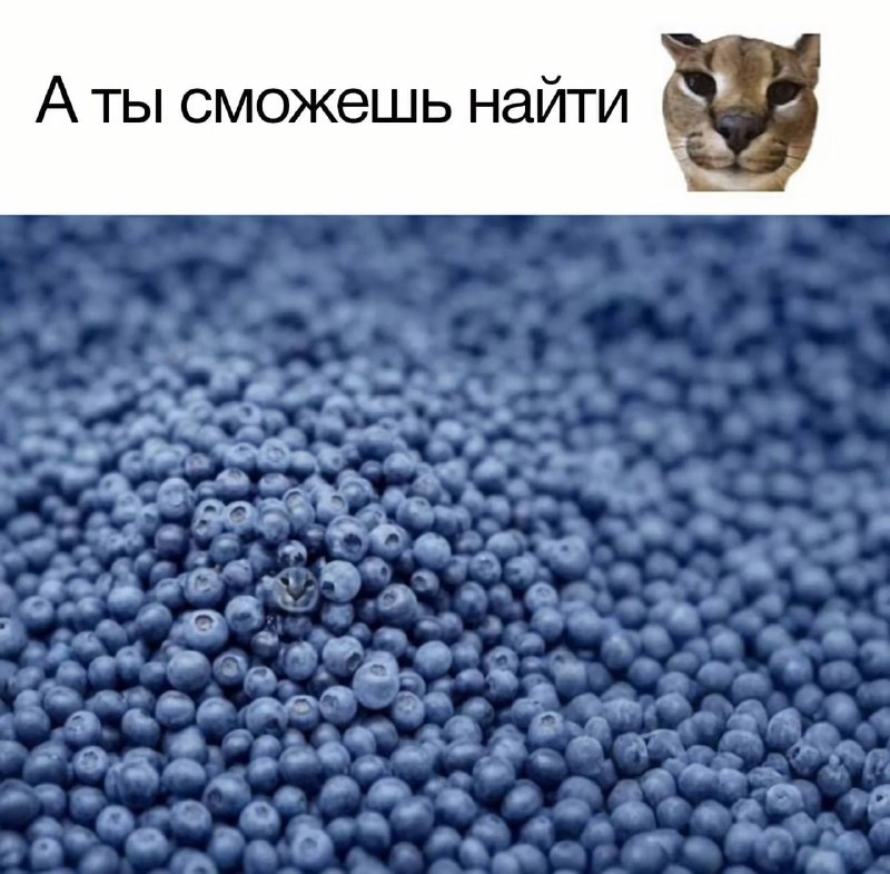Чисто приколы