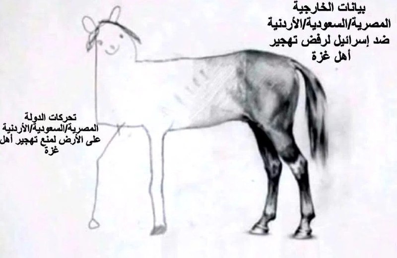 الأممي || The Internationalist