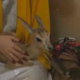 ألــوان🧸🌈!'
