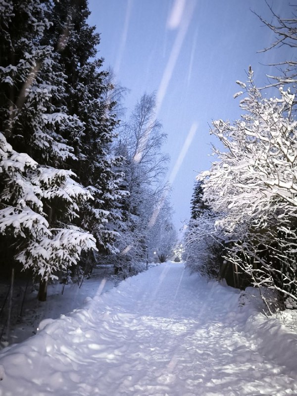 С Рождеством, друзья!***🎄******❄️***