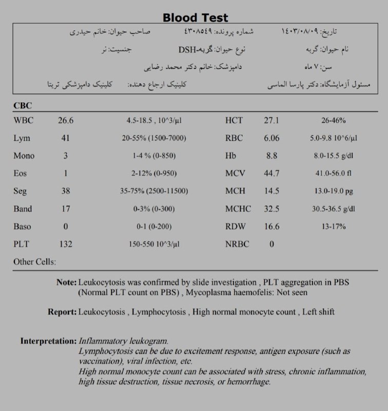 [#همزیست](?q=%23%D9%87%D9%85%D8%B2%DB%8C%D8%B3%D8%AA)